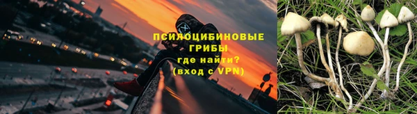 СК Балахна