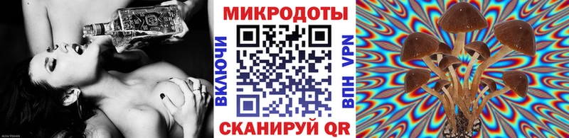 Псилоцибиновые грибы прущие грибы  Лангепас 